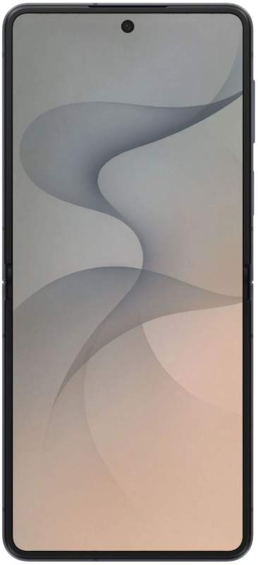 Купить Samsung Galaxy Z Flip8 Графитовый-01.png